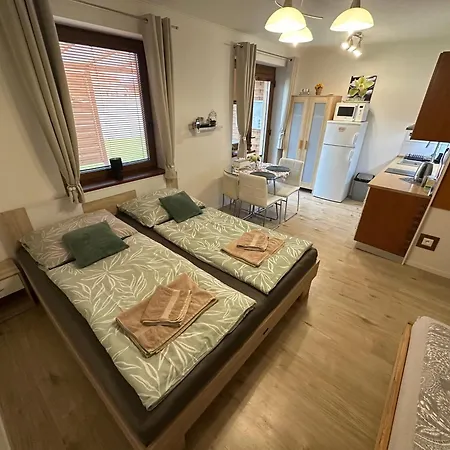 Losonci Nesvady- Pre 2 Osoby Appartement *